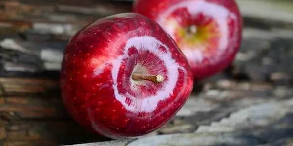 تصویر 5 از قیمت خرید سیب خشک ارگانیک + فروش ویژه